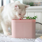 Smart Pet Cat Drinking Water Fountain - Automatic Filtered Fountain
