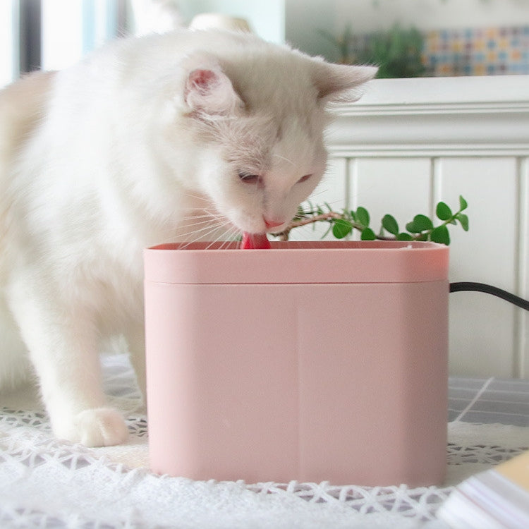 Smart Pet Cat Drinking Water Fountain - Automatic Filtered Fountain