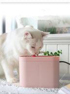 Smart Pet Cat Drinking Water Fountain - Automatic Filtered Fountain